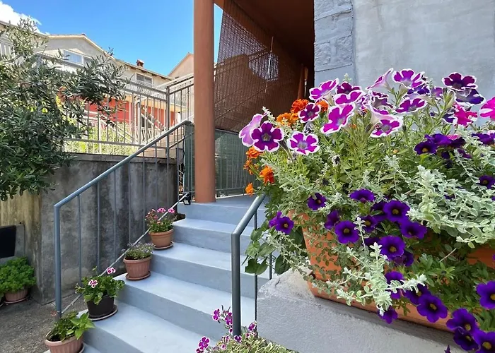 Apartment Iva Zadar