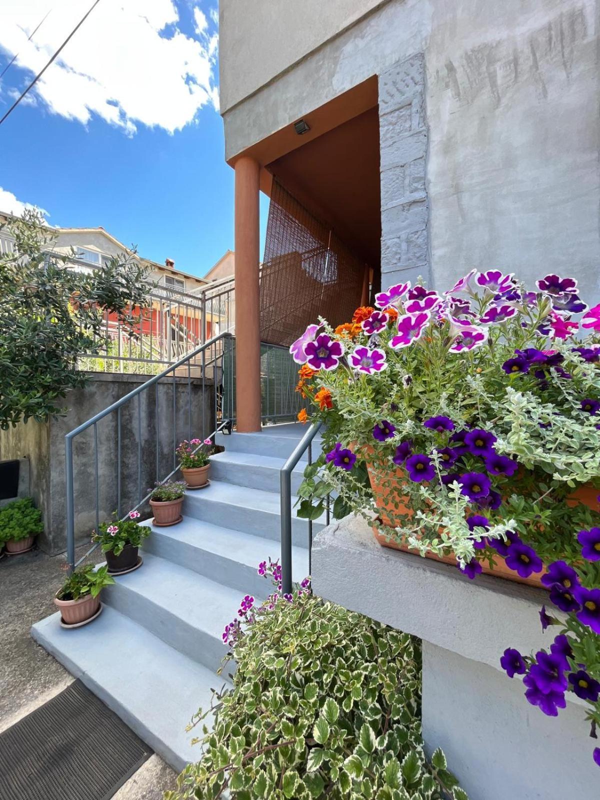 Iva Apartman Zadar